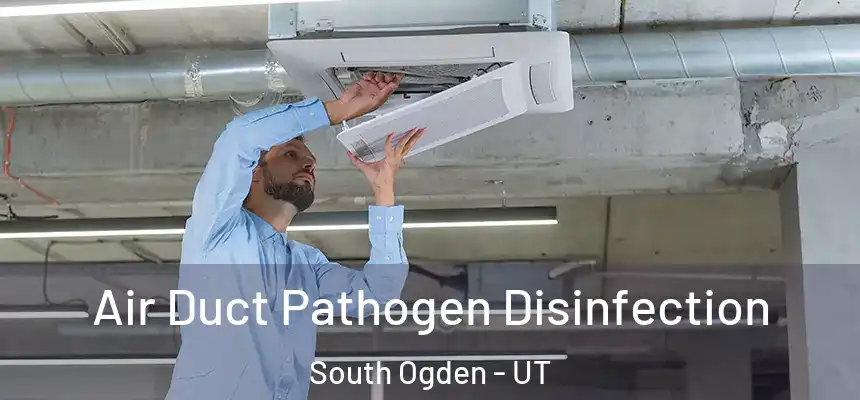  Air Duct Pathogen Disinfection South Ogden - UT