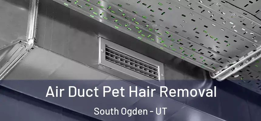  Air Duct Pet Hair Removal South Ogden - UT
