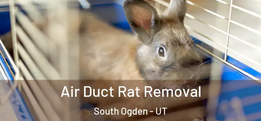  Air Duct Rat Removal South Ogden - UT