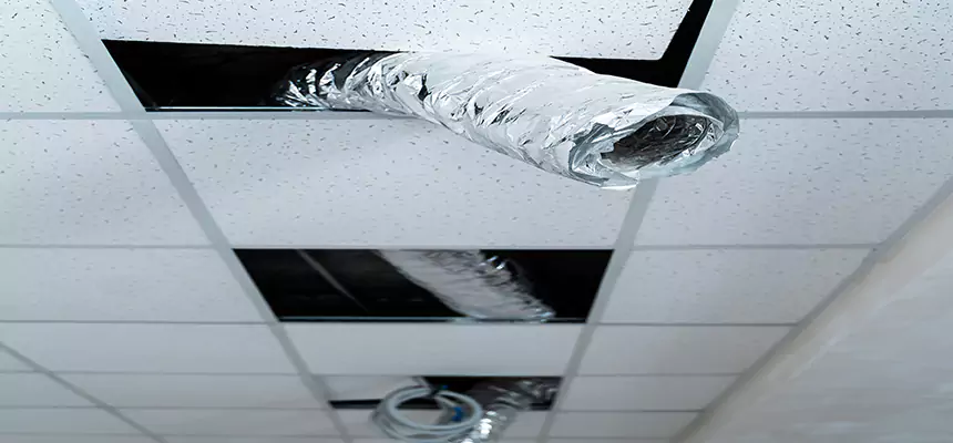 Our Air Duct Pet Hair Removal Services in South Ogden, UT