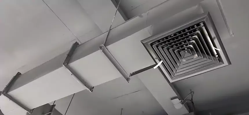 Our Pest Removal From Ducts Services in South Ogden, UT