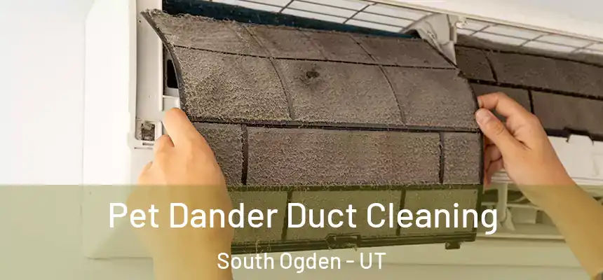 Pet Dander Duct Cleaning South Ogden - UT
