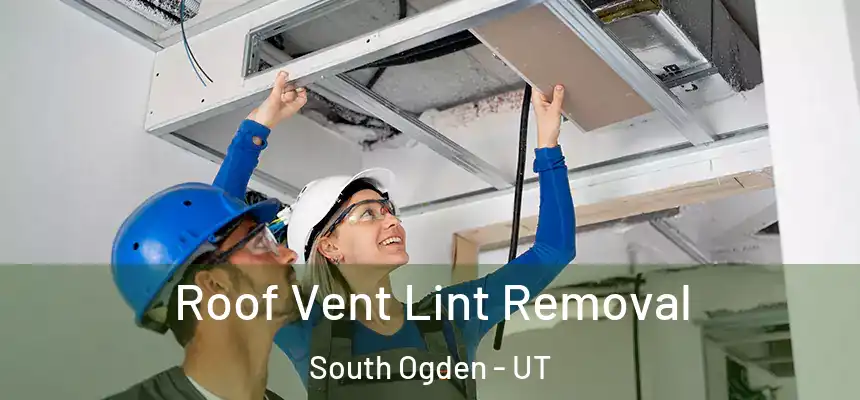  Roof Vent Lint Removal South Ogden - UT