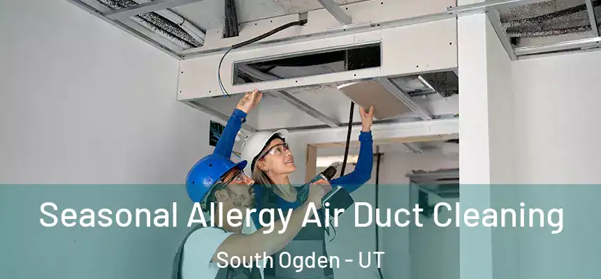  Seasonal Allergy Air Duct Cleaning South Ogden - UT