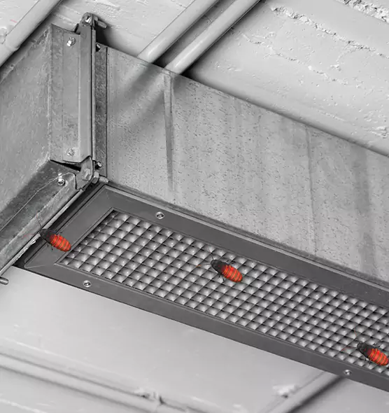 About Air Duct Cockroach Removal in South Ogden, UT
