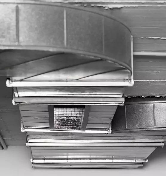 Professional Air Duct Pet Hair Removal in South Ogden, UT