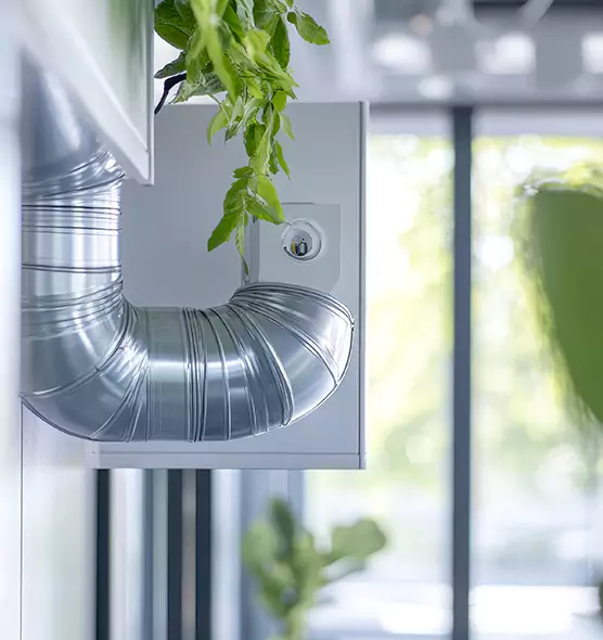 Professional Eco-Friendly Duct Cleaning Services in South Ogden, UT