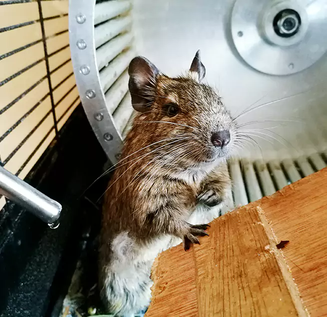 Why Homeowners & Businesses Trust Us South Ogden, UT?