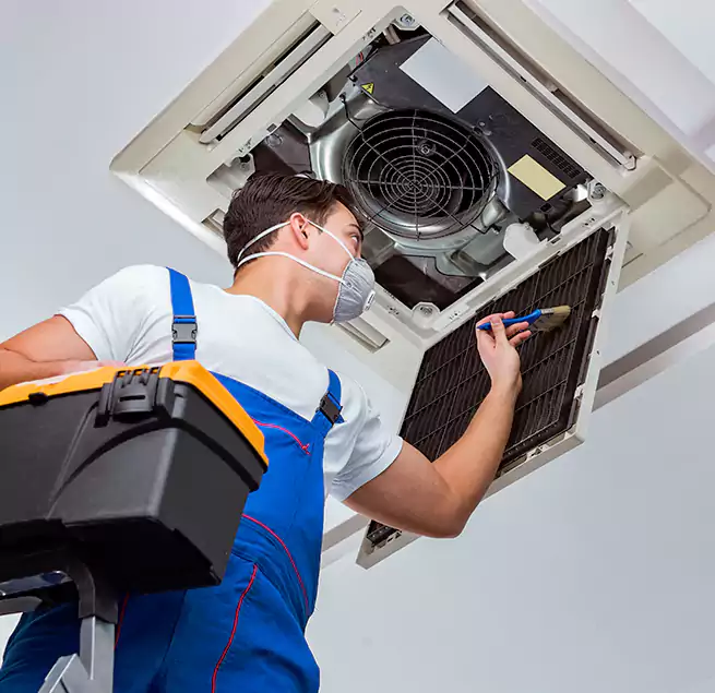 Why Homeowners & Businesses Trust Us in South Ogden, UT?